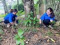 CHI ĐOÀN TRƯỜNG MẦM NON BẰNG HÀNH THAM GIA LAO ĐỘNG TẠI KHU DI TÍCH CÁCH MẠNG TRỌNG CON – HƯỚNG VỀ NGÀY 27/7